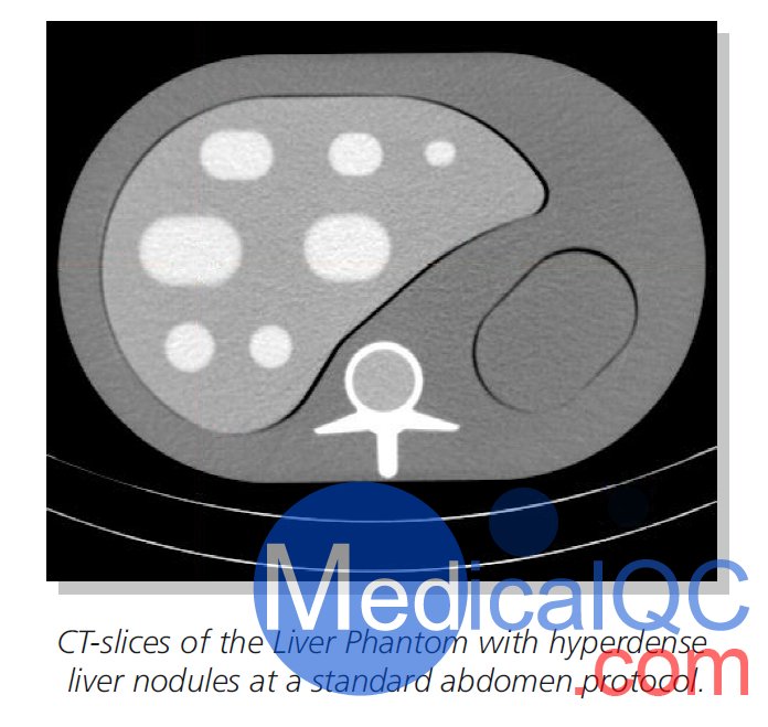 QRM-Liver-Phantom肝结节模体,QRM肝结节模型