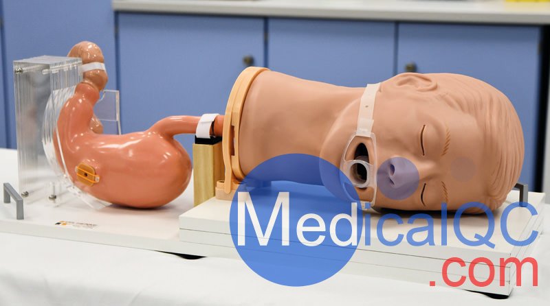 R21100胃模拟器,EGD胃镜训练模体,德国EZ胃模体