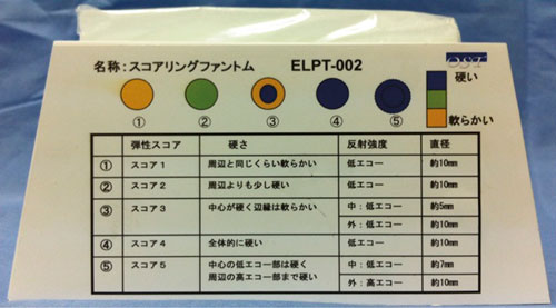 ELPT-002弹性成像模型，ELPT-002弹性成像模体