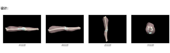 KE-A02成人膝关节模体，KE-A02腿部模型，KE-A02腿模体设计示图