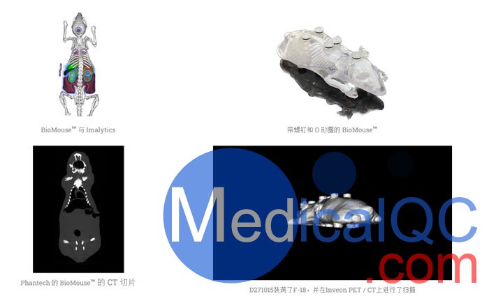 BioMouse模体,BioMouse小鼠模型，Phantech Bio-Mouse多功能小鼠模体