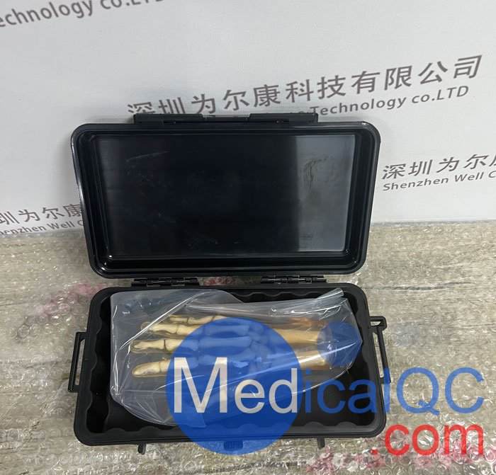 HN-P01儿童手掌模体，HN-P01手掌模型产品实拍图