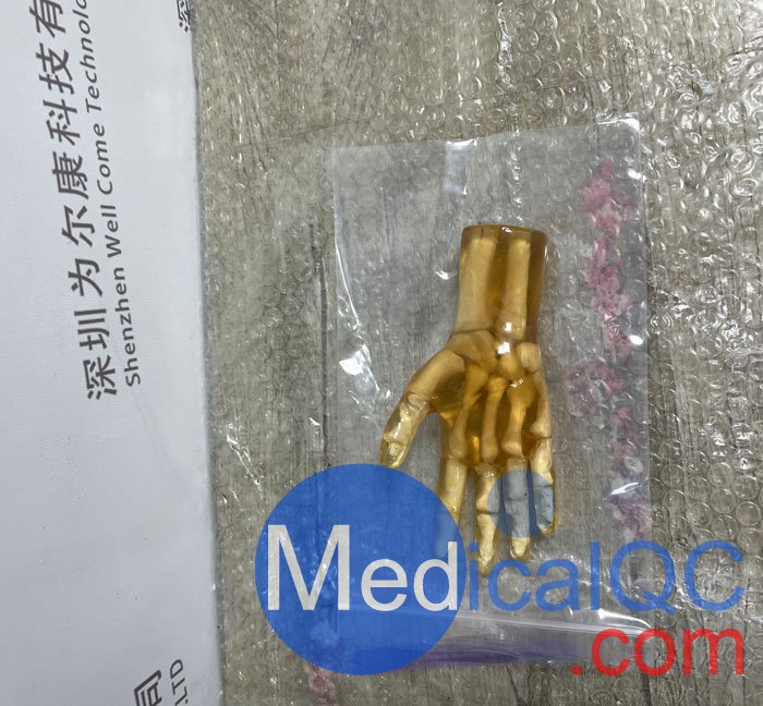 HN-P01儿童手掌模体，HN-P01手掌模型产品实拍图