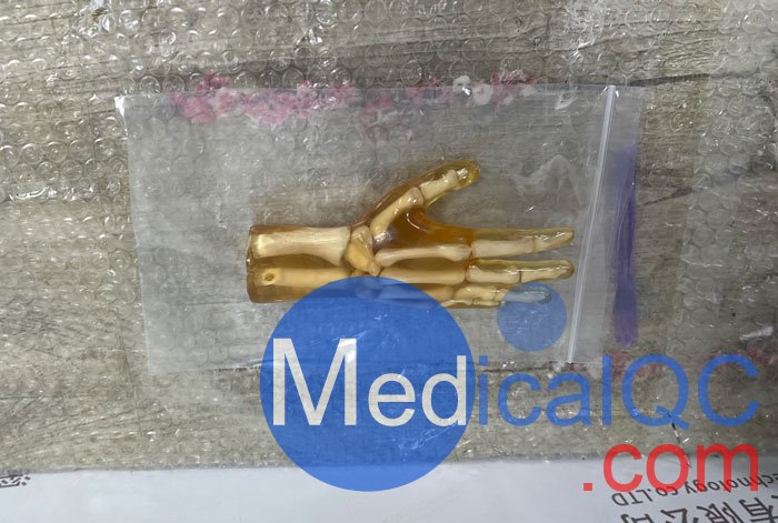 HN-P01儿童手掌模体，HN-P01手掌模型产品实拍图