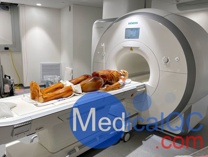 FB-A02成人全身模体,FB-A02全身CT模型，适用于X射线，CT,MRI