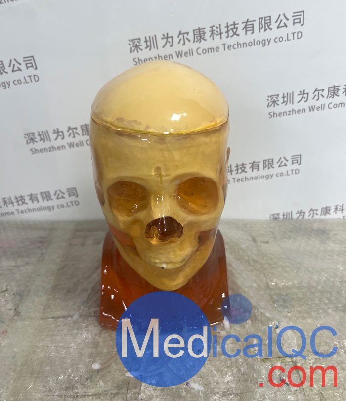 HD-C03成人头模，HD-C03血管造影头模，HD-C03头部模体实拍图