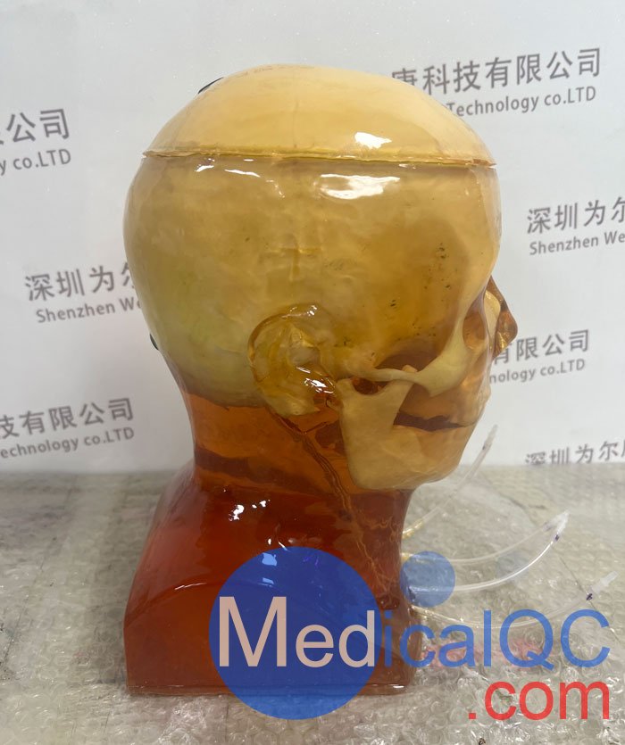 HD-C03成人头模，HD-C03血管造影头模，HD-C03头部模体实拍图