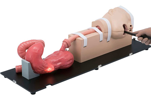 LM-103胃肠镜模拟器，LM-103胃肠模体，EGD模拟器