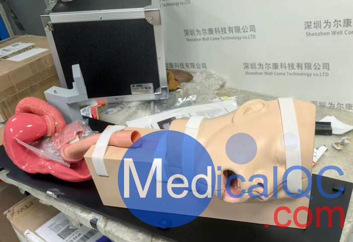 LM-103胃肠镜模拟器，LM-103胃肠模体，EGD模拟器实物拍摄图