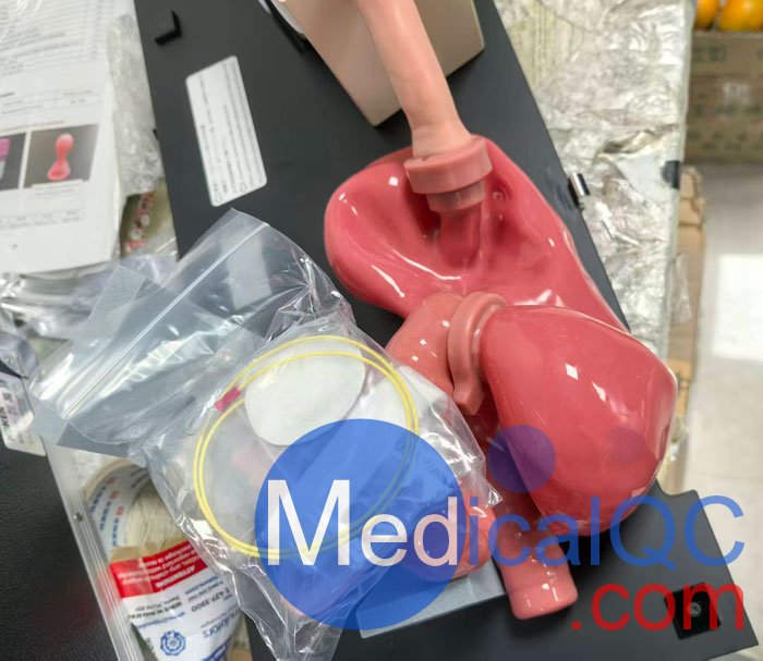 LM-103胃肠镜模拟器，LM-103胃肠模体，EGD模拟器实物拍摄图