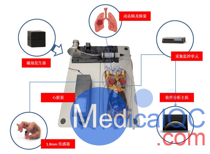 WEK-RLFMA02活动肿瘤靶模拟及定位系统，WEK-RLFMA02呼吸运动模体