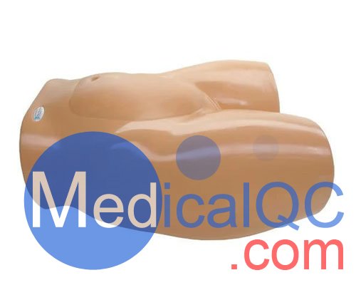 BP1610羊膜穿刺术训练模型,BP1610胎儿超声培训模型