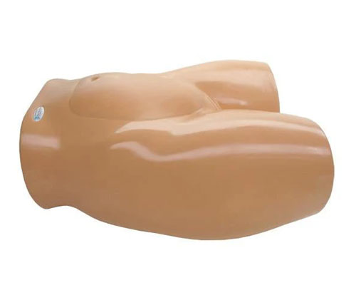 BP1610羊膜穿刺术训练模型,BP1610胎儿超声培训模型