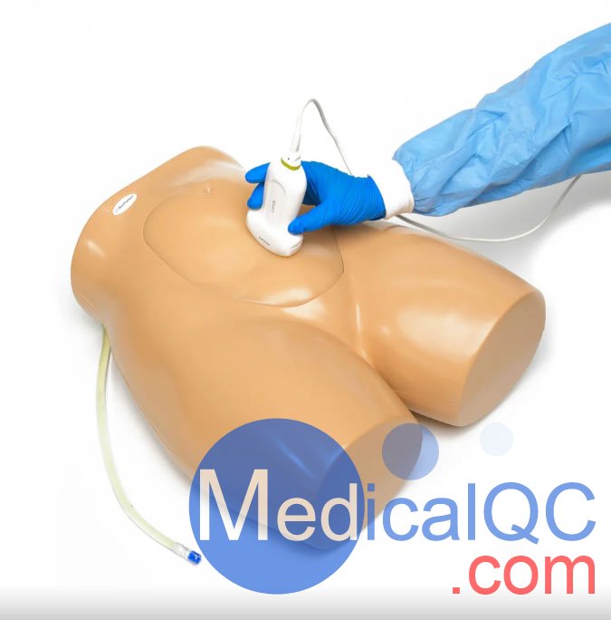 BP1610羊膜穿刺术训练模型,BP1610胎儿超声培训模型