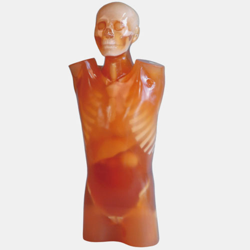 CTU-41 CT躯干模体,PH-4 CT躯干模型,CT人体躯干模型PH-4