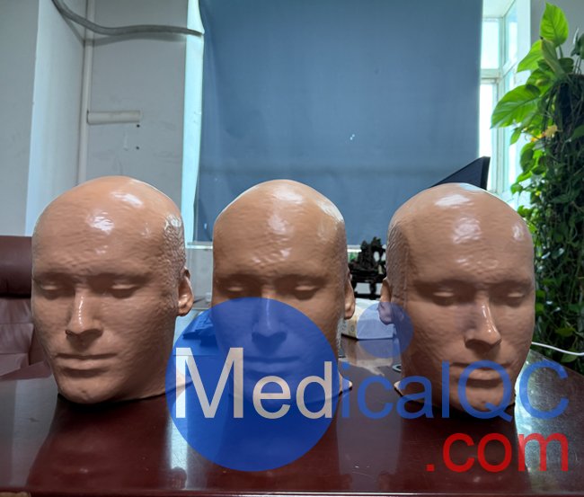 WEK51-04 CTA AVM头部模体,WEK51-04 CT血管造影头模产品实物图