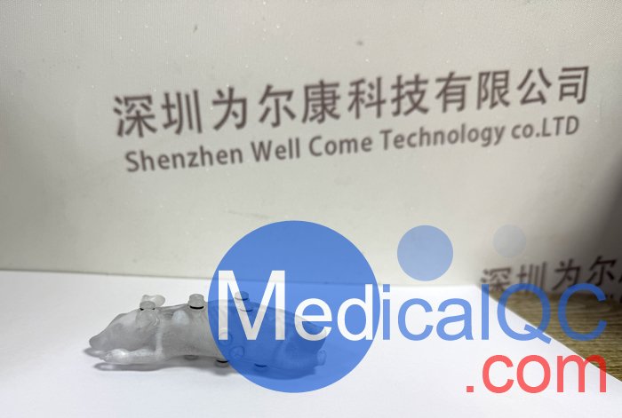 BioMouse模体,BioMouse小鼠模型，Phantech Bio-Mouse多功能小鼠模体产品实物图