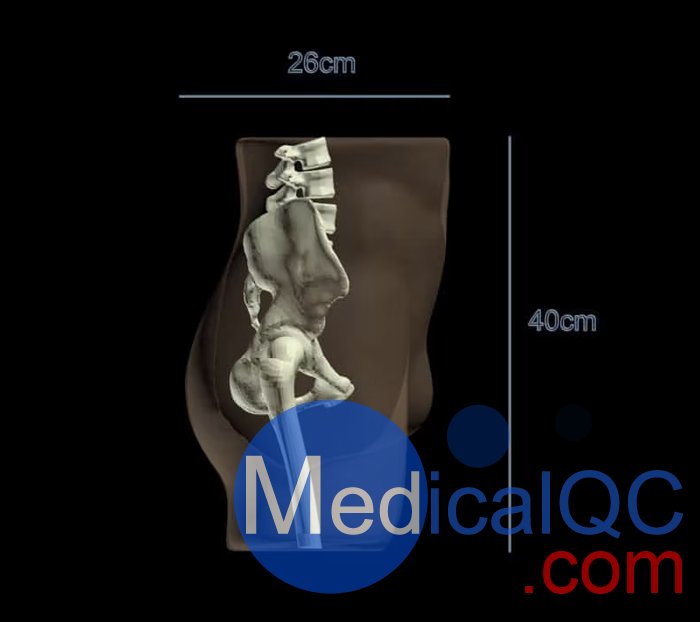 PE-A01腹部模体，PE-A01成人骨盆模型设计图