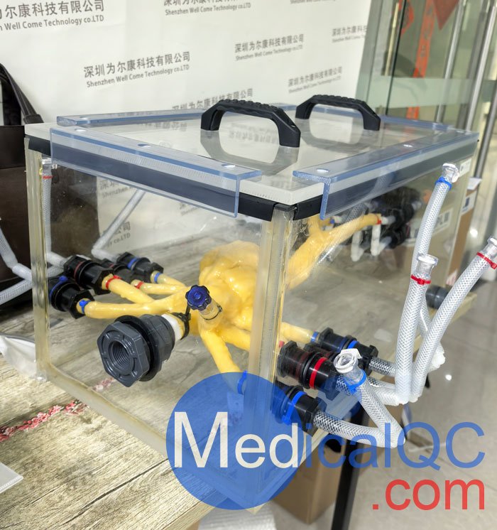 WEK-100可编程流量泵，WEK-100可编程生理流量泵配合心脏模体进行心跳模拟